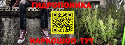 крисы Гусь-Хрустальный